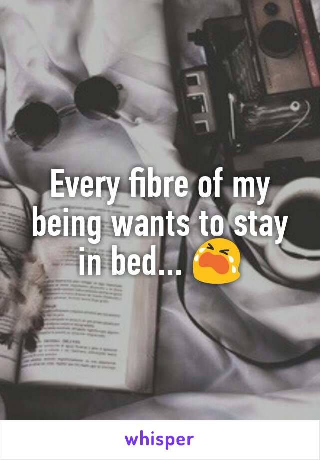 Every fibre of my being wants to stay in bed... 😭