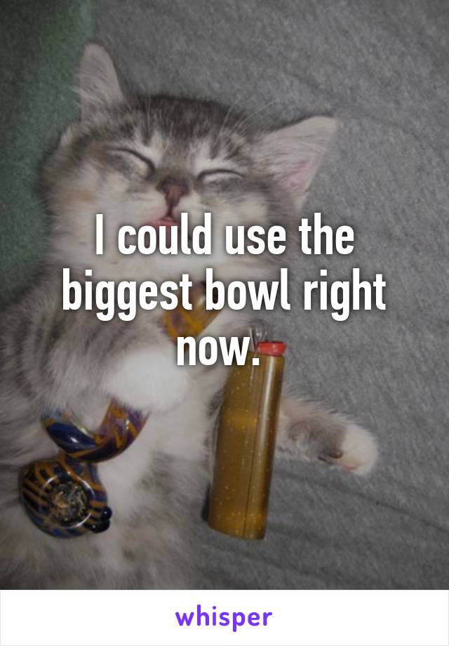 I could use the biggest bowl right now. 
