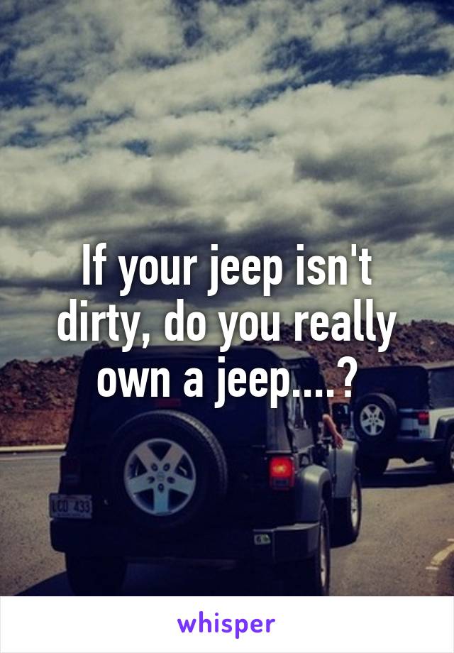 If your jeep isn't dirty, do you really own a jeep....?