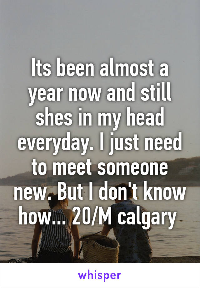 Its been almost a year now and still shes in my head everyday. I just need to meet someone new. But I don't know how... 20/M calgary 