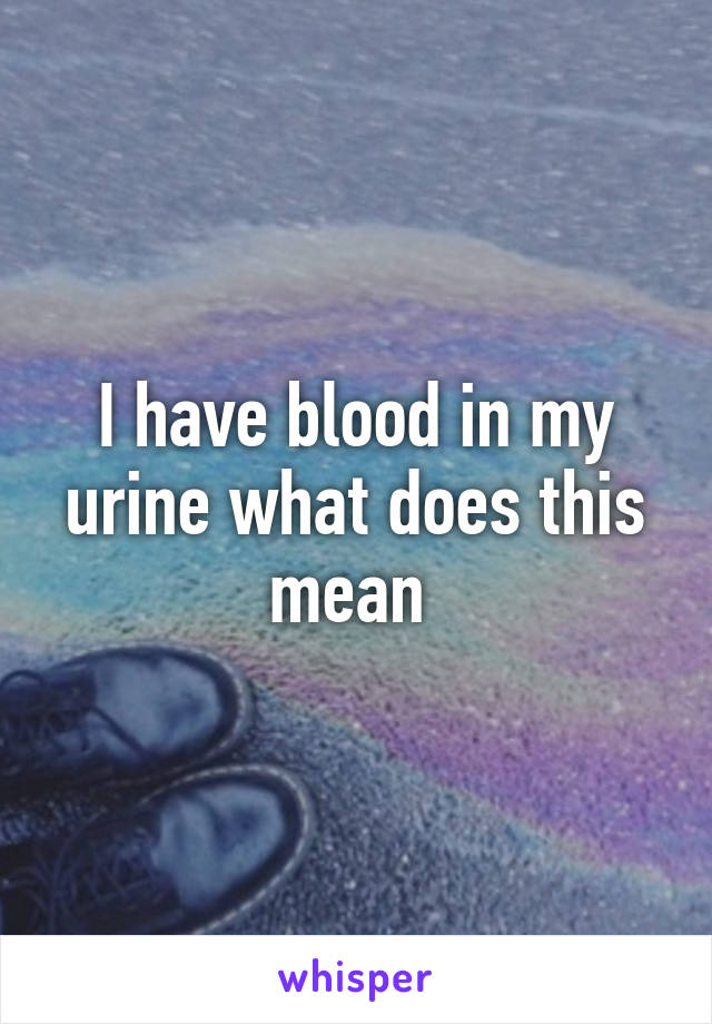 I have blood in my urine what does this mean 