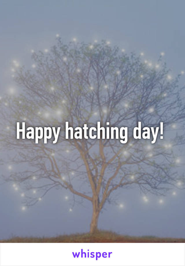 Happy hatching day! 