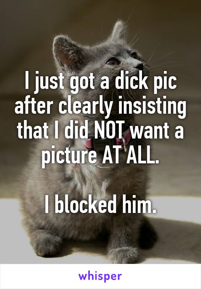 I just got a dick pic after clearly insisting that I did NOT want a picture AT ALL.

I blocked him.