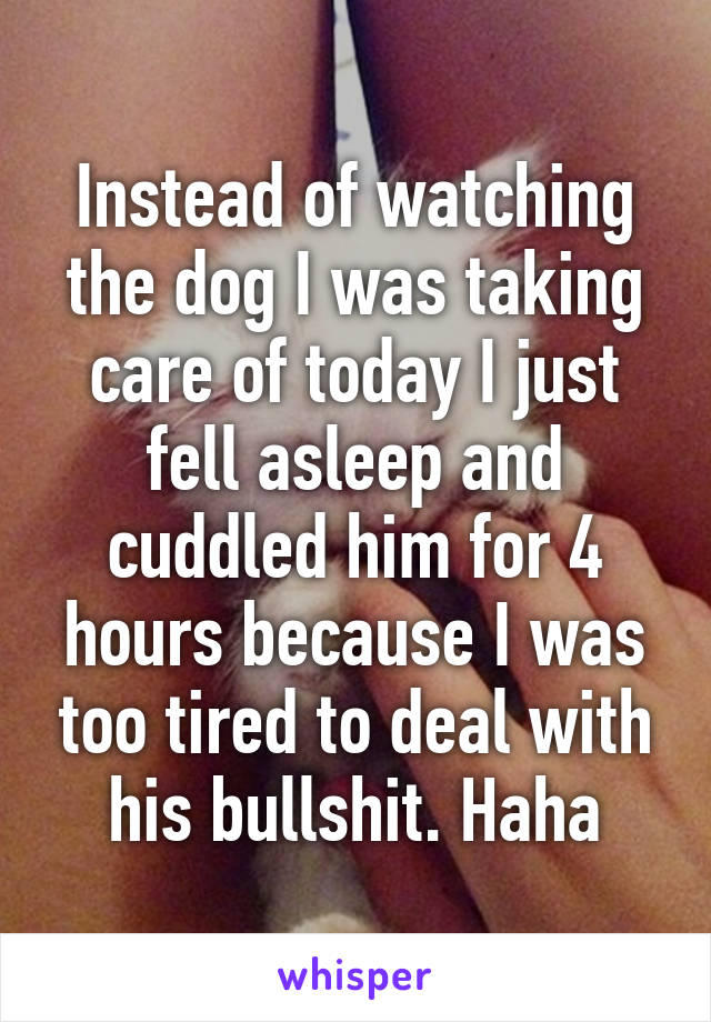 Instead of watching the dog I was taking care of today I just fell asleep and cuddled him for 4 hours because I was too tired to deal with his bullshit. Haha