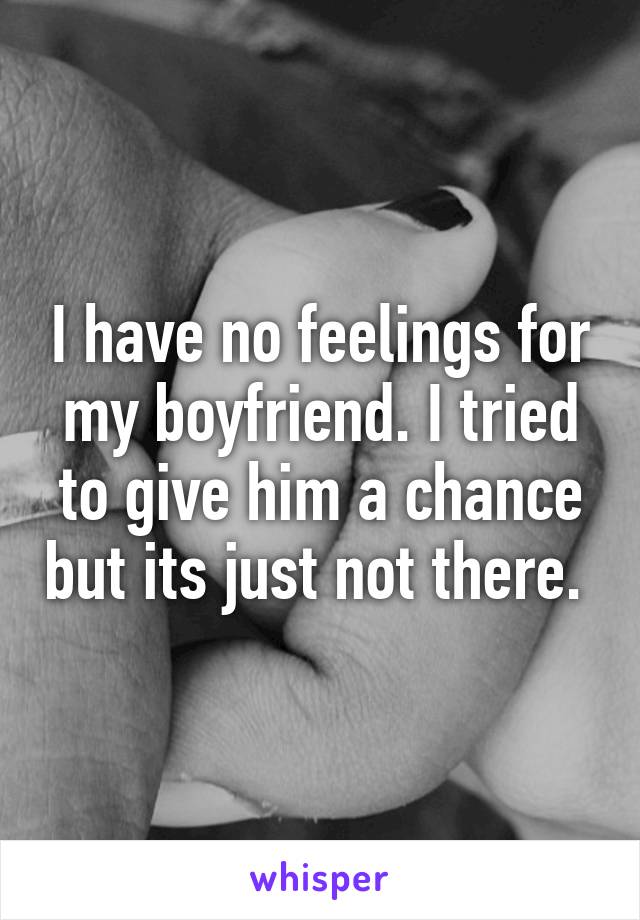 I have no feelings for my boyfriend. I tried to give him a chance but its just not there. 