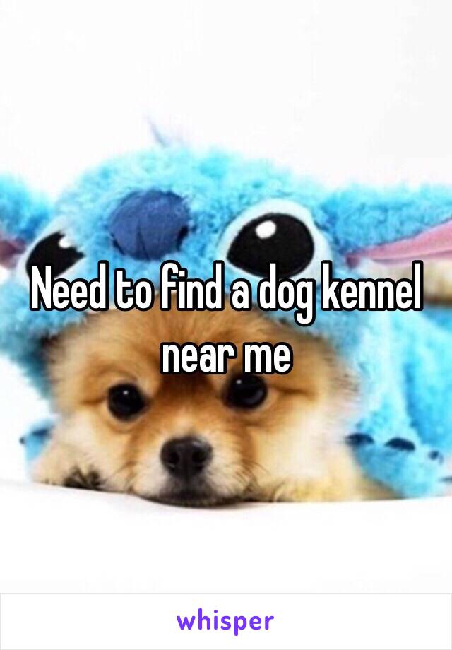 Need to find a dog kennel near me