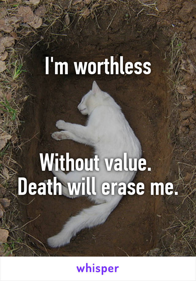 I'm worthless



Without value. 
Death will erase me. 