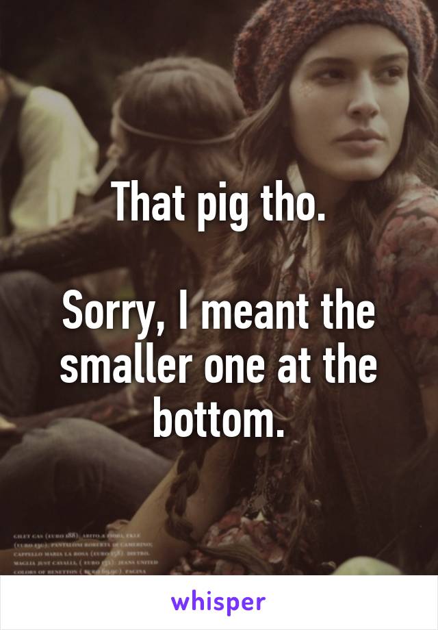 That pig tho.

Sorry, I meant the smaller one at the bottom.