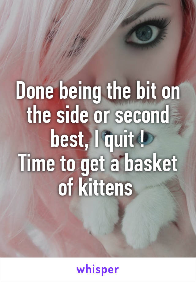 Done being the bit on the side or second best, I quit !
Time to get a basket of kittens 