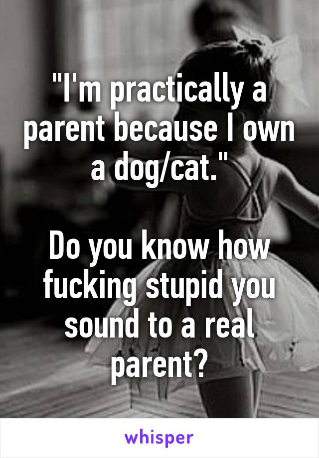 "I'm practically a parent because I own a dog/cat."

Do you know how fucking stupid you sound to a real parent?