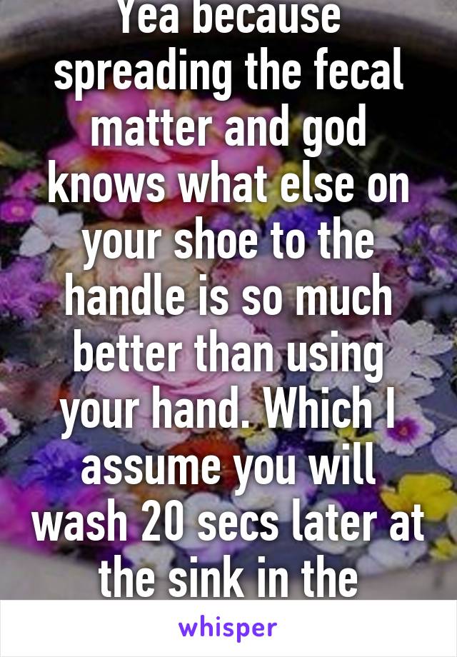 Yea because spreading the fecal matter and god knows what else on your shoe to the handle is so much better than using your hand. Which I assume you will wash 20 secs later at the sink in the bathroom.