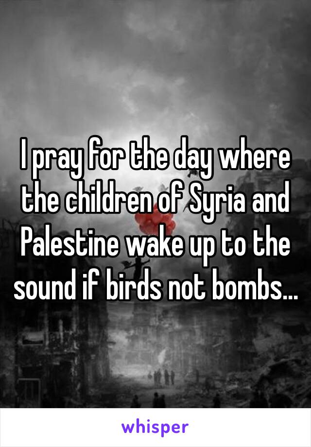 I pray for the day where the children of Syria and Palestine wake up to the sound if birds not bombs...