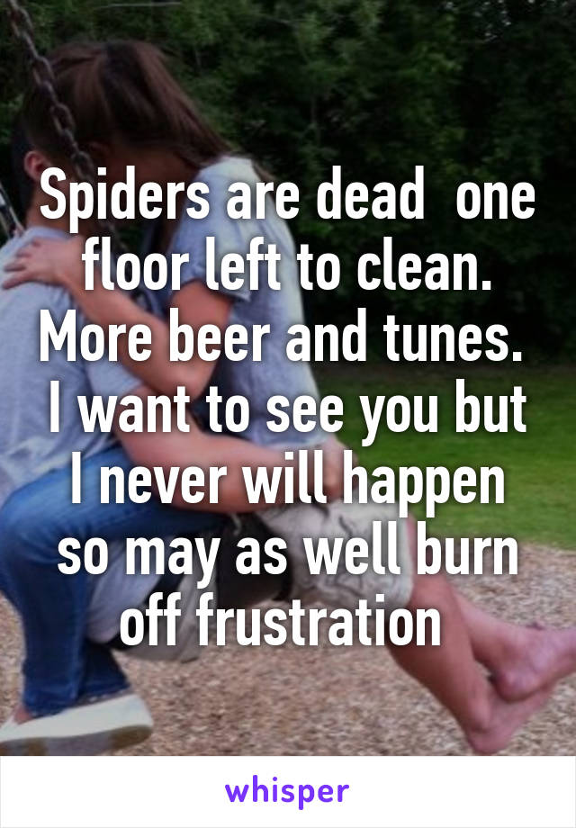 Spiders are dead  one floor left to clean. More beer and tunes.  I want to see you but I never will happen so may as well burn off frustration 