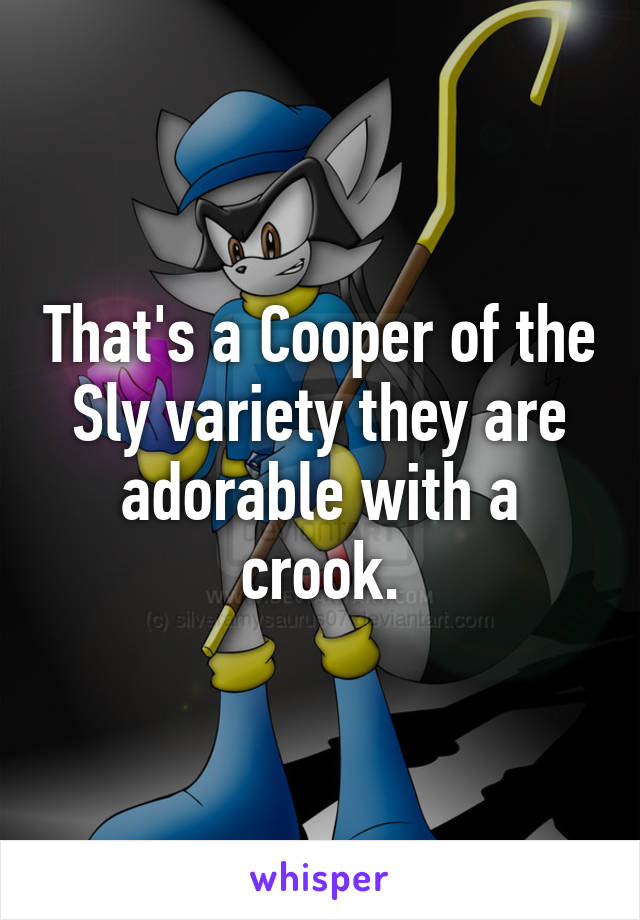 That's a Cooper of the Sly variety they are adorable with a crook.