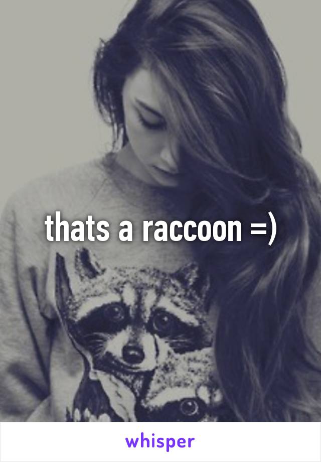 thats a raccoon =)