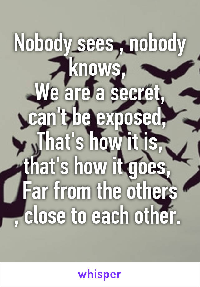 Nobody sees , nobody knows, 
We are a secret, can't be exposed, 
That's how it is, that's how it goes, 
Far from the others , close to each other. 
