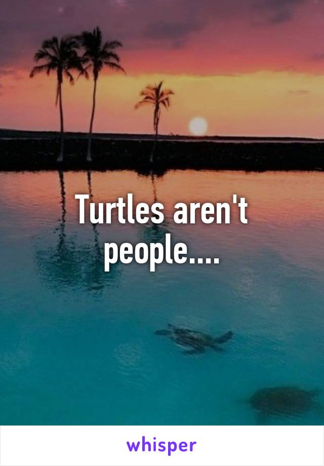 Turtles aren't people....