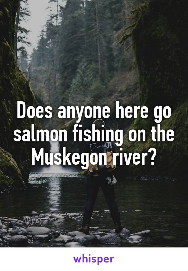 Does anyone here go salmon fishing on the Muskegon river?