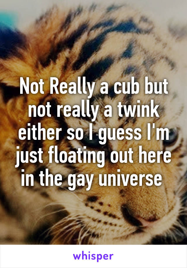 Not Really a cub but not really a twink either so I guess I'm just floating out here in the gay universe 