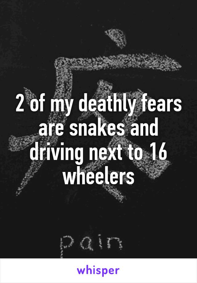 2 of my deathly fears are snakes and driving next to 16 wheelers