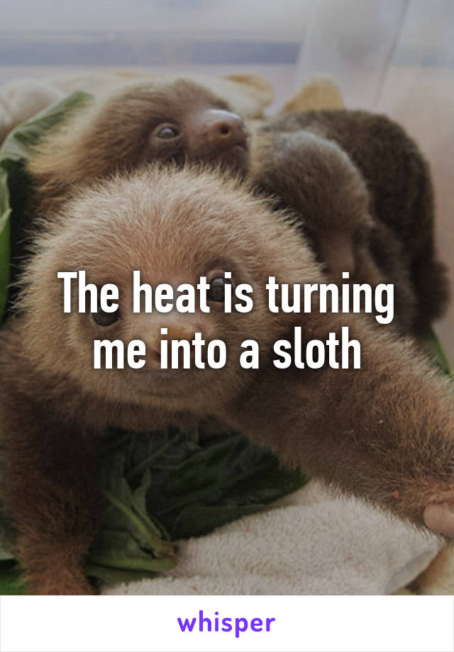 The heat is turning me into a sloth