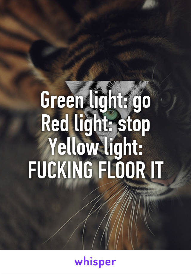 Green light: go
Red light: stop
Yellow light: FUCKING FLOOR IT