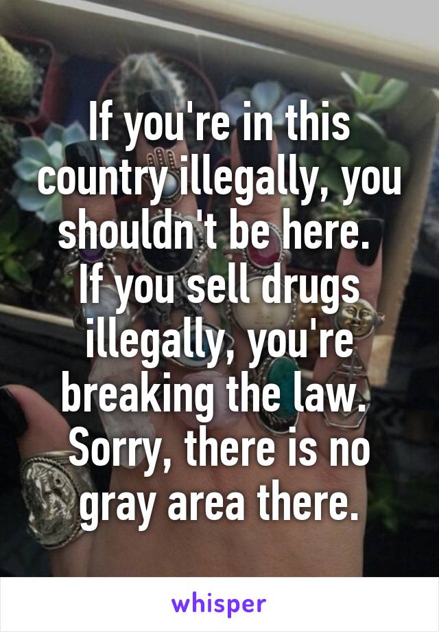 If you're in this country illegally, you shouldn't be here. 
If you sell drugs illegally, you're breaking the law. 
Sorry, there is no gray area there.