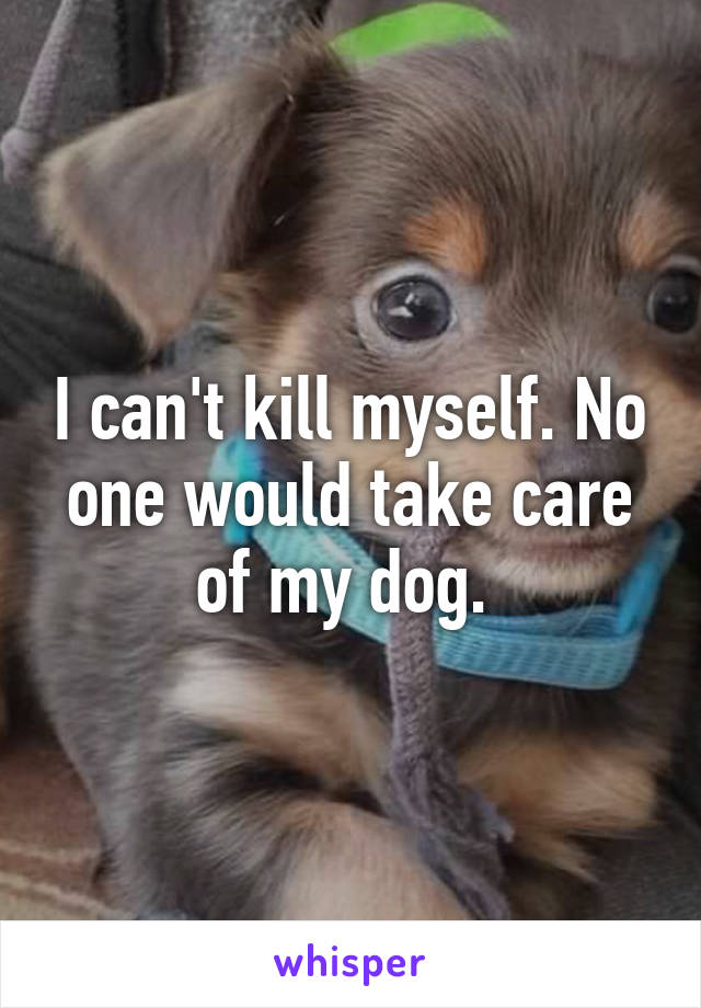 I can't kill myself. No one would take care of my dog. 