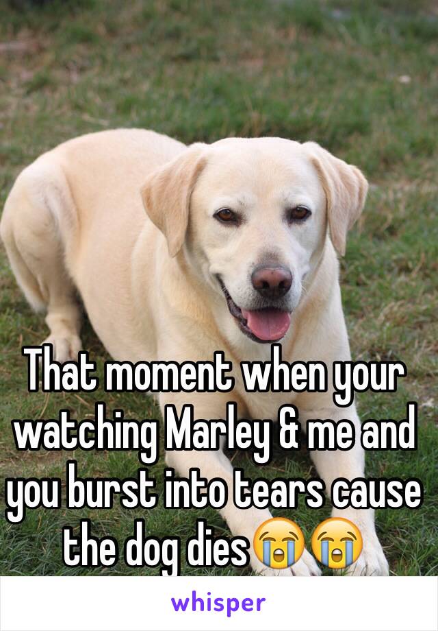 That moment when your watching Marley & me and you burst into tears cause the dog dies😭😭