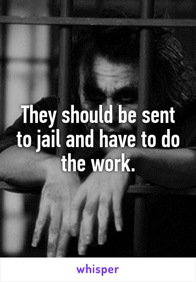 They should be sent to jail and have to do the work.