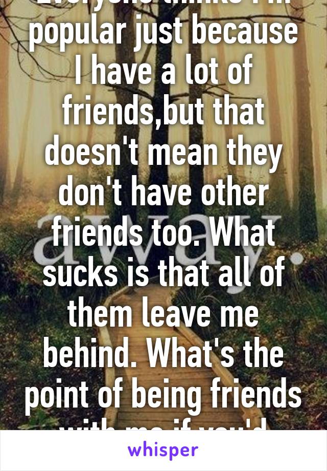 Everyone thinks I'm popular just because I have a lot of friends,but that doesn't mean they don't have other friends too. What sucks is that all of them leave me behind. What's the point of being friends with me if you'd rather be with them.