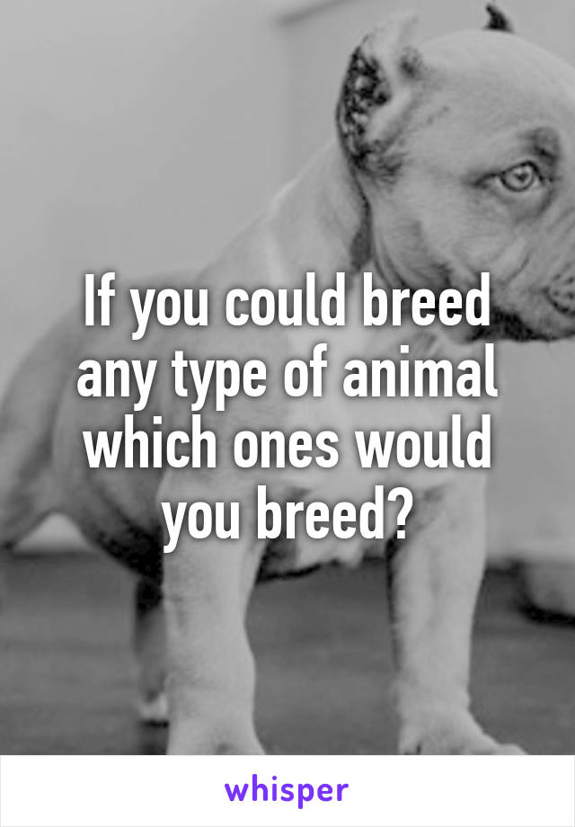 If you could breed any type of animal which ones would you breed?