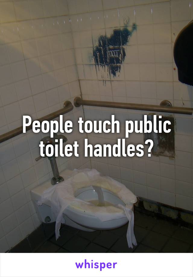 People touch public toilet handles?