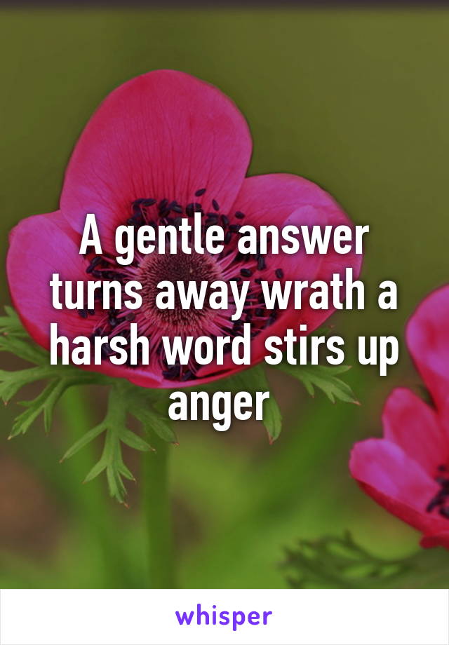 A gentle answer turns away wrath a harsh word stirs up anger 