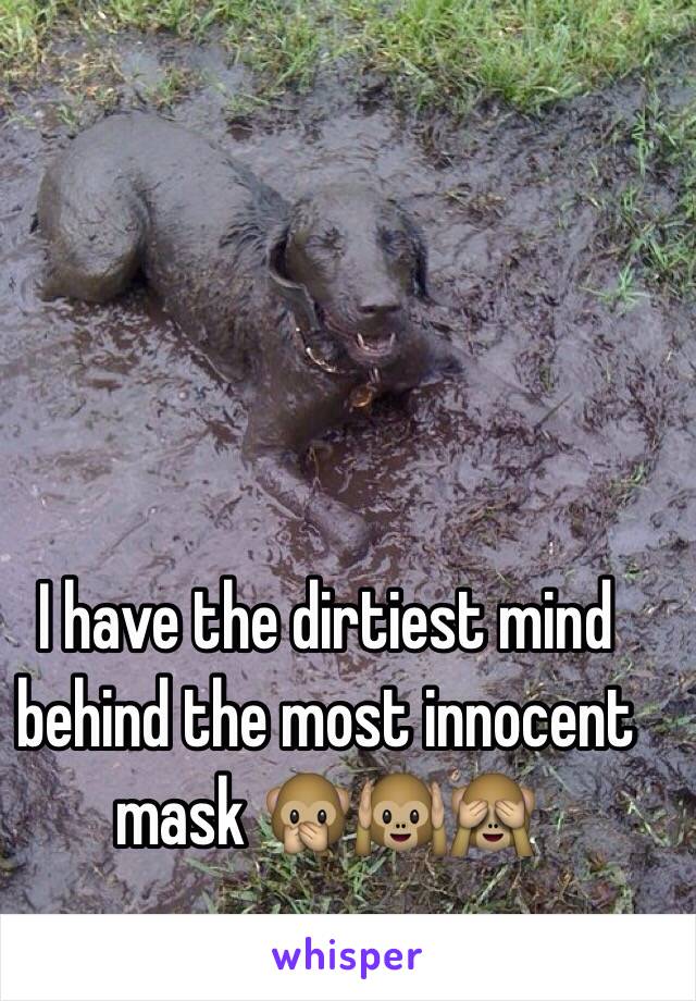 I have the dirtiest mind behind the most innocent mask 🙊🙉🙈