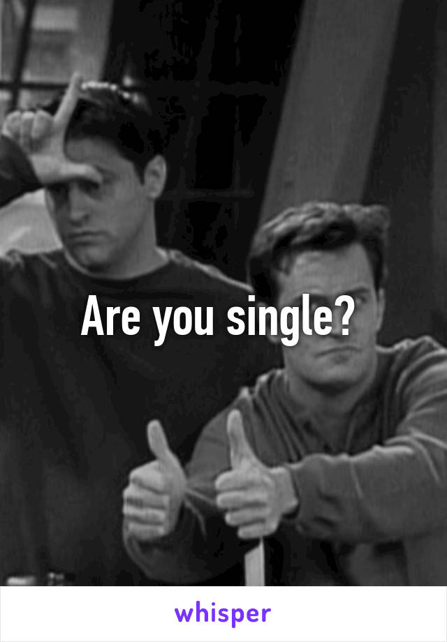 Are you single? 