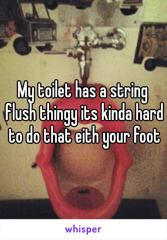 My toilet has a string flush thingy its kinda hard to do that eith your foot