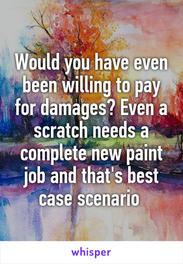 Would you have even been willing to pay for damages? Even a scratch needs a complete new paint job and that's best case scenario 