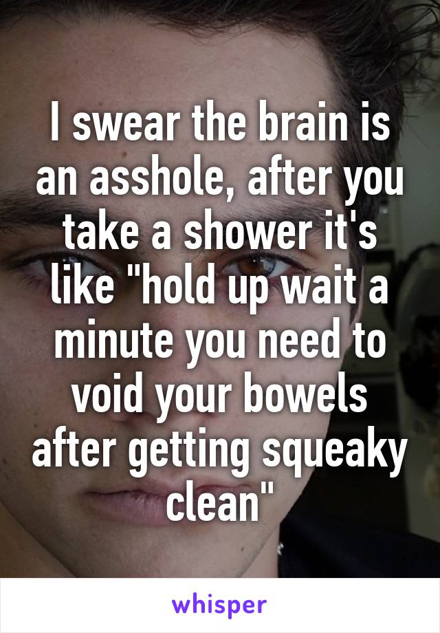 I swear the brain is an asshole, after you take a shower it's like "hold up wait a minute you need to void your bowels after getting squeaky clean"