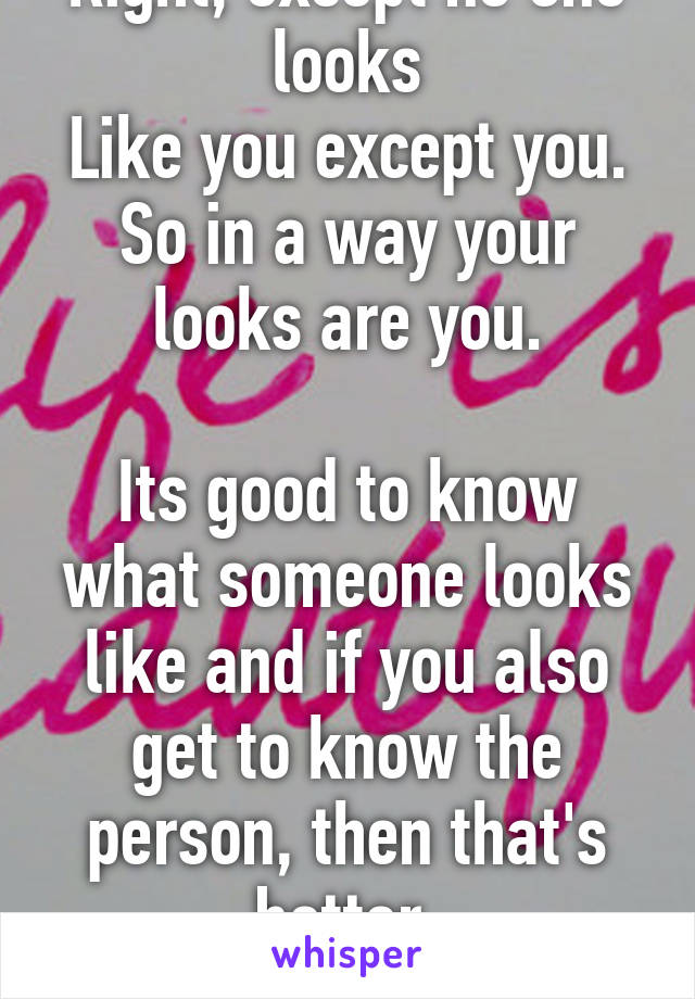 Right, except no one looks
Like you except you. So in a way your looks are you.

Its good to know what someone looks like and if you also get to know the person, then that's better.
