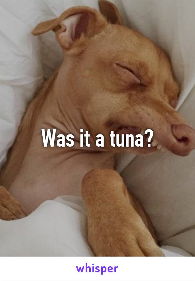 Was it a tuna?