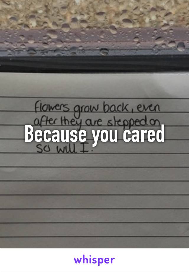 Because you cared