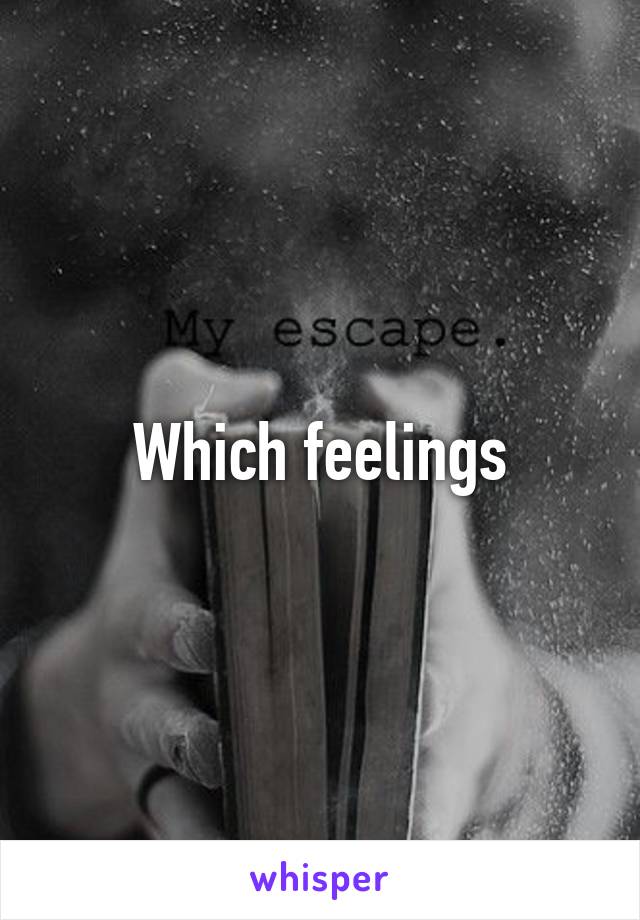 Which feelings