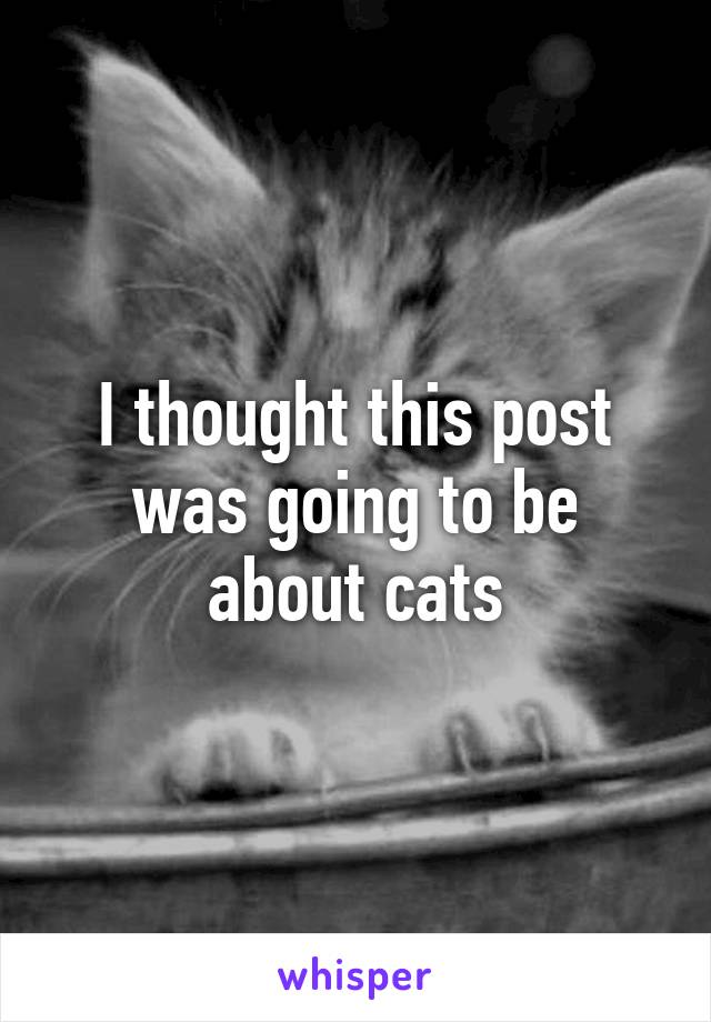 I thought this post was going to be about cats