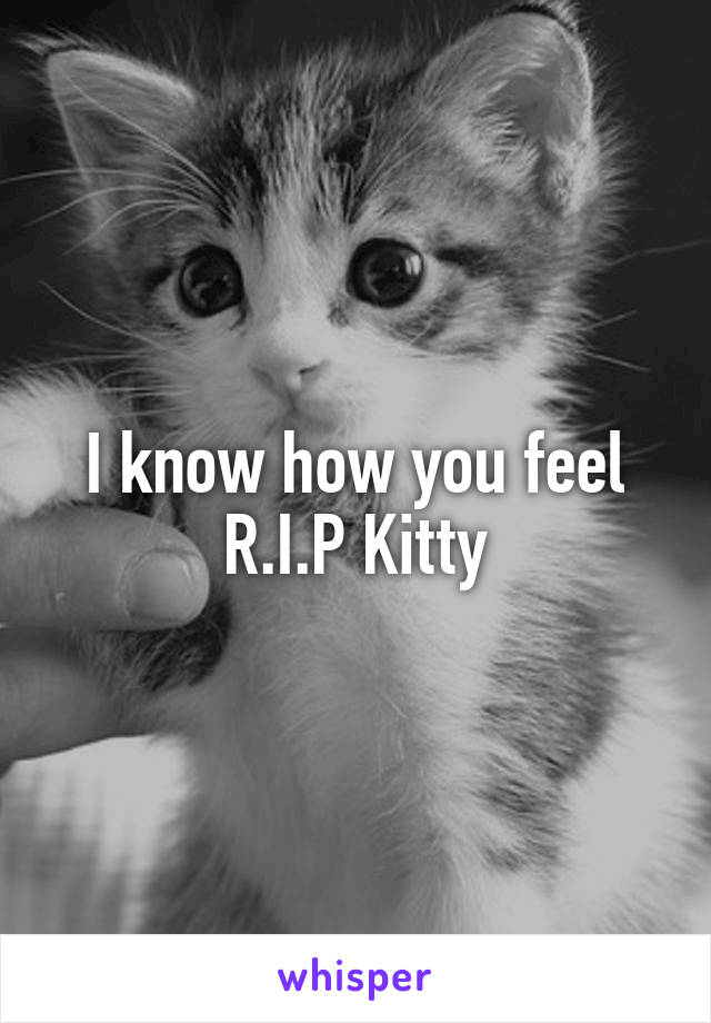 I know how you feel
R.I.P Kitty