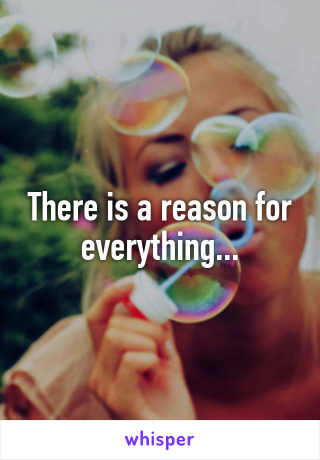 There is a reason for everything...