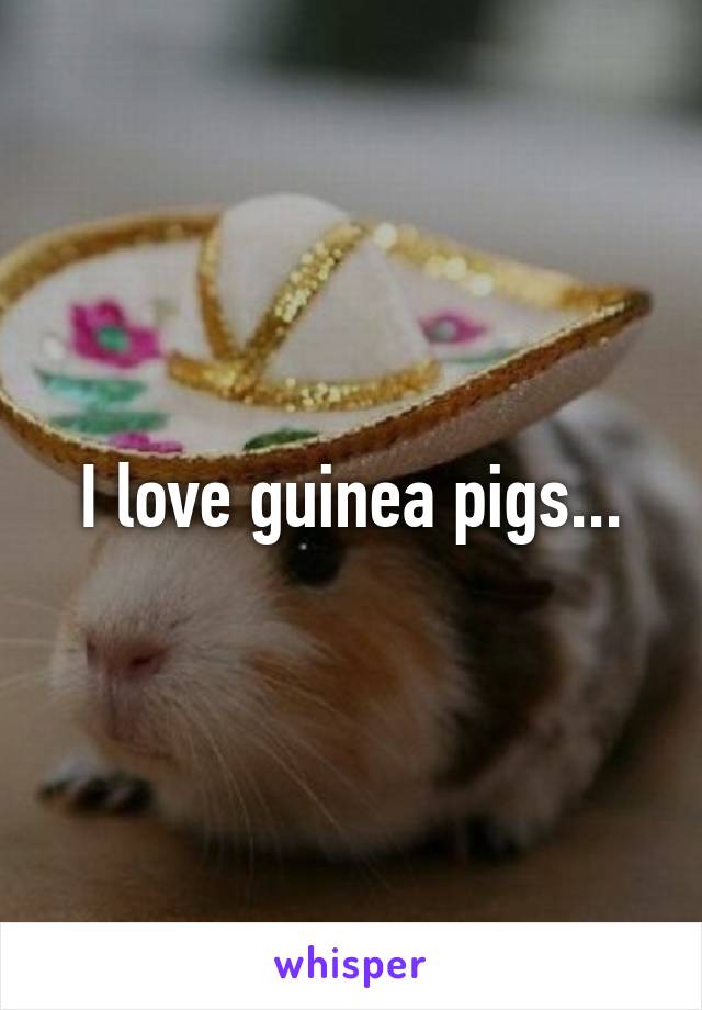 I love guinea pigs...