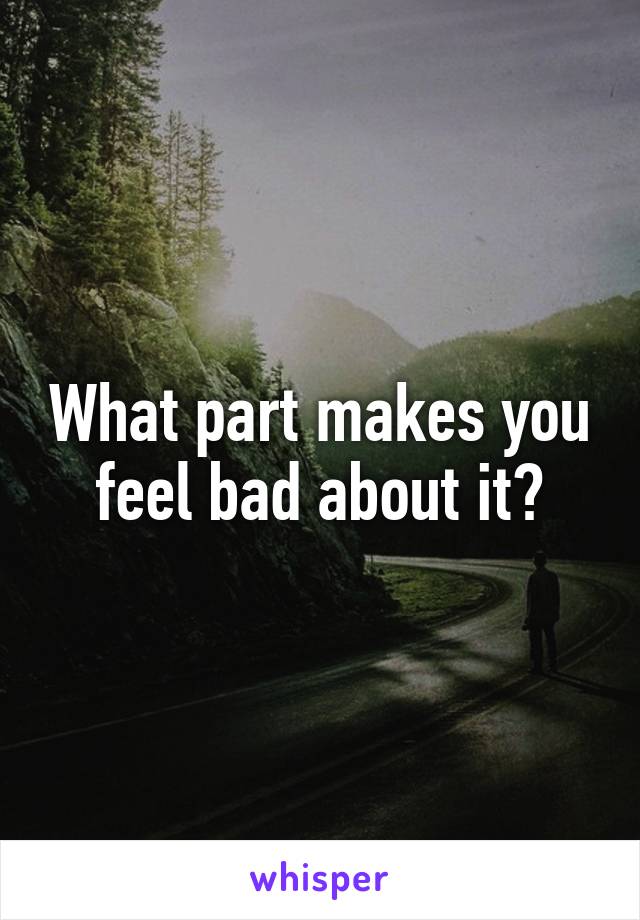 What part makes you feel bad about it?