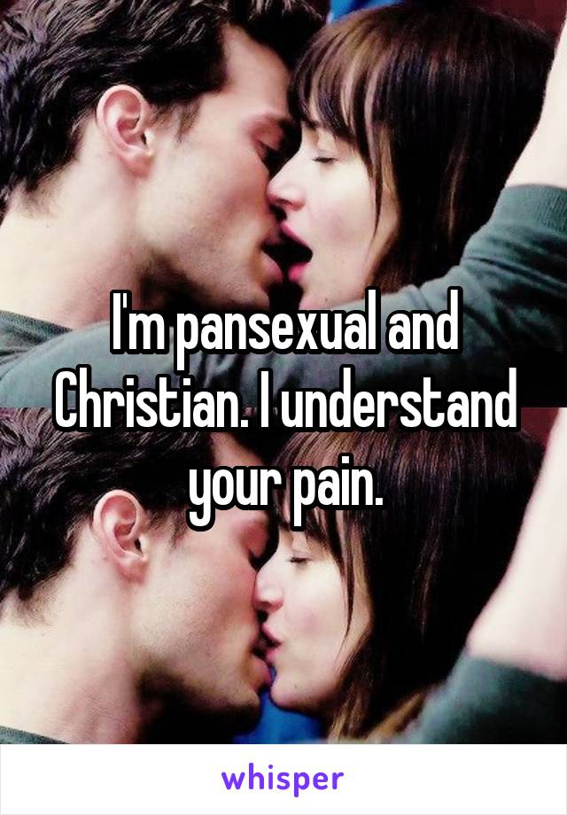 I'm pansexual and Christian. I understand your pain.