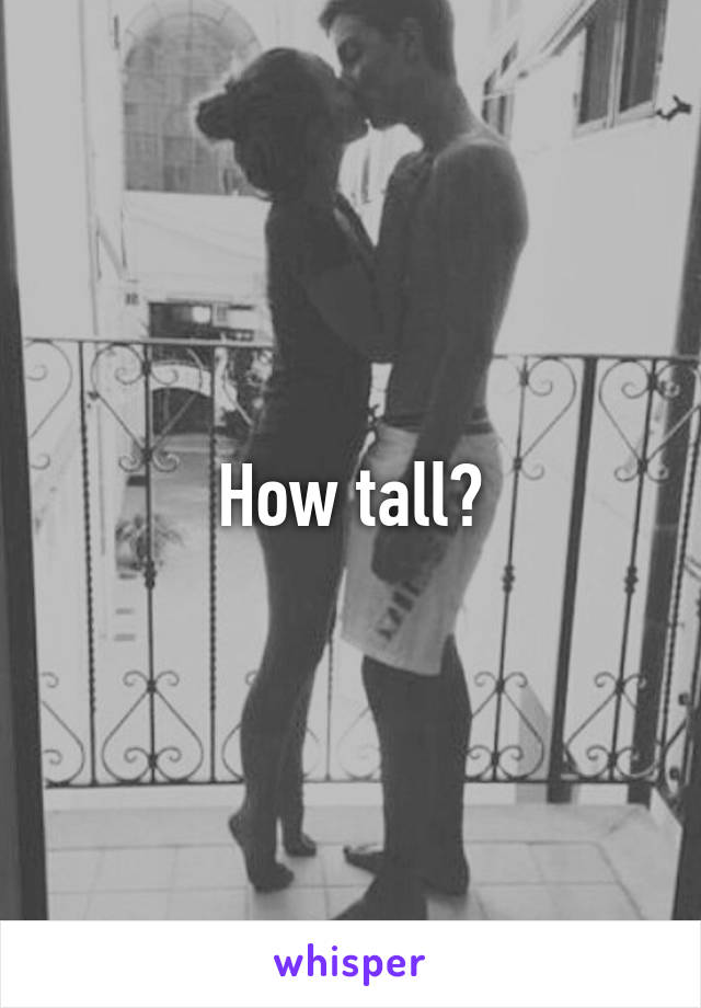 How tall?